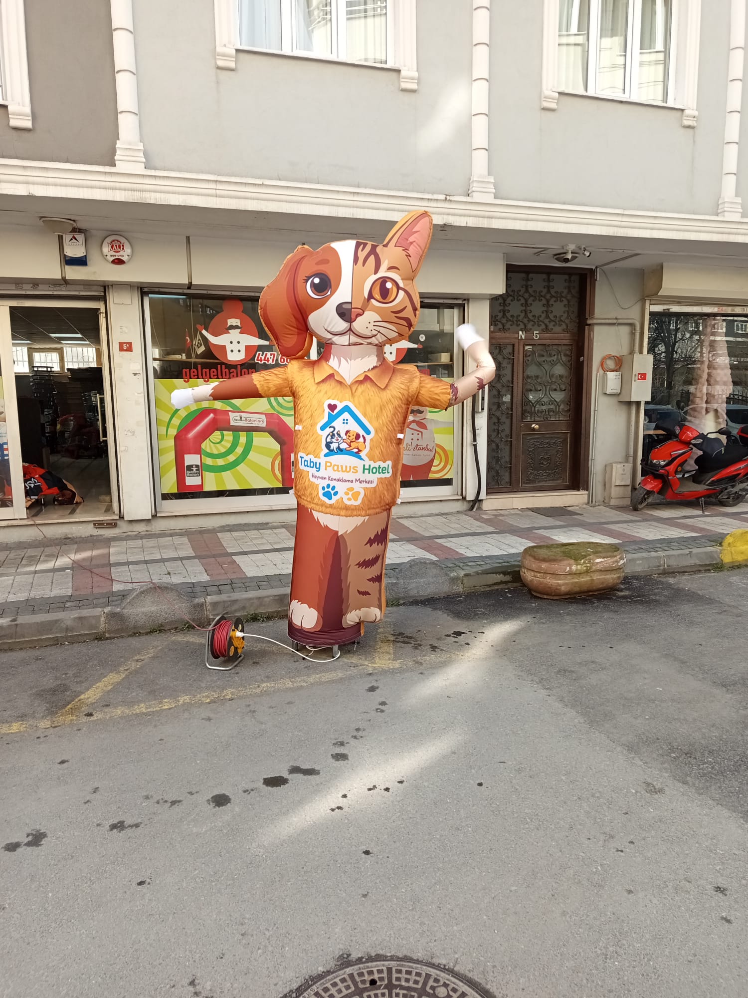 Hayvan Barınağı Örnek Gel Gel Reklam Balonu